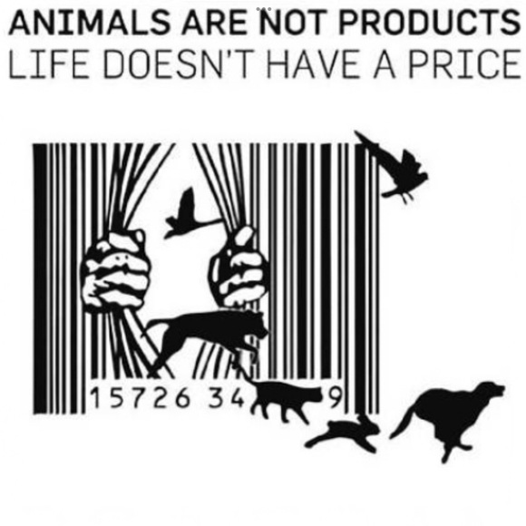 💻🛍🛒 Shopping ✈️📦📫 - Picture 3 of 10